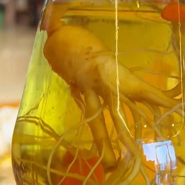 阳光诺诺