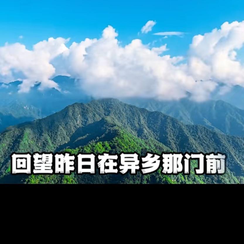 纽约孙卫东博士