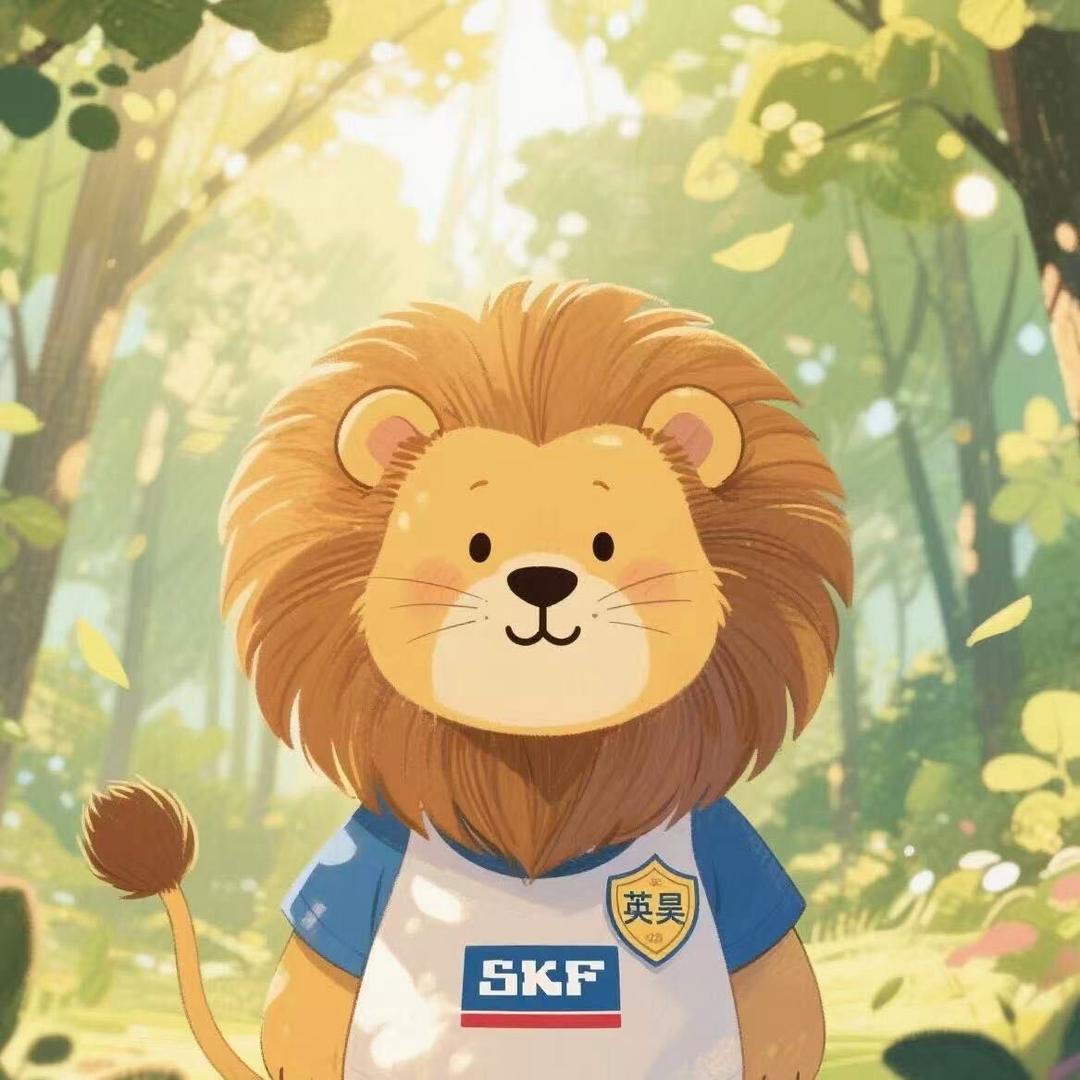 A   英昊  SKF  外球面轴承