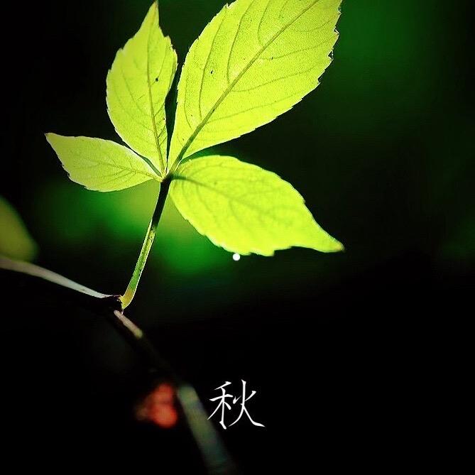 四小姐