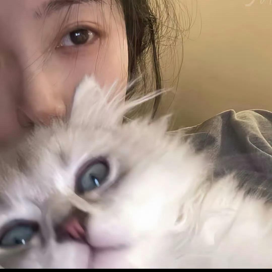 咩咩