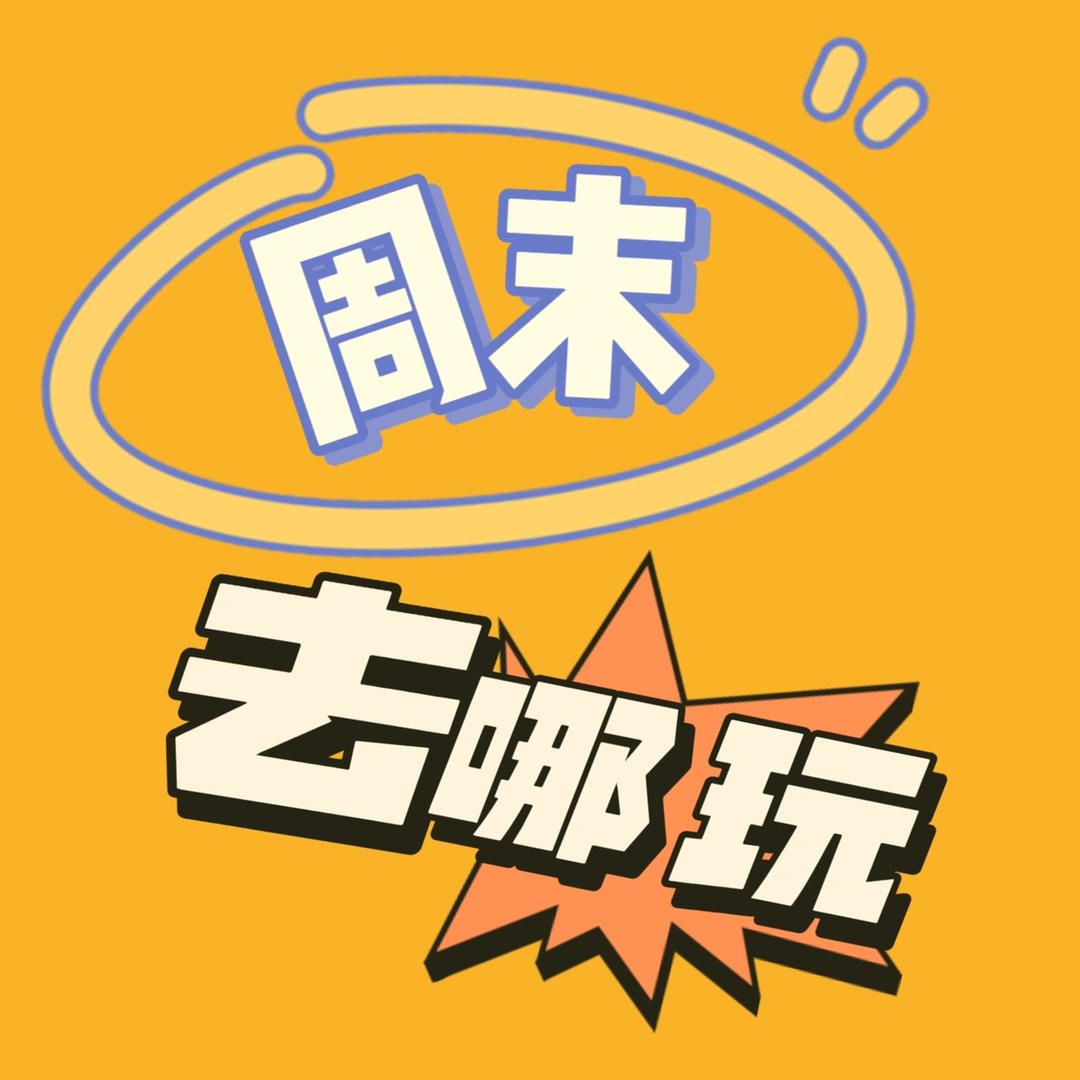 周末去哪玩