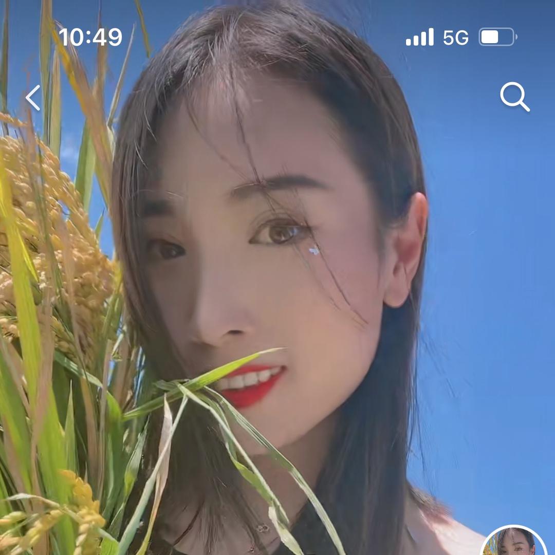 喜杨杨