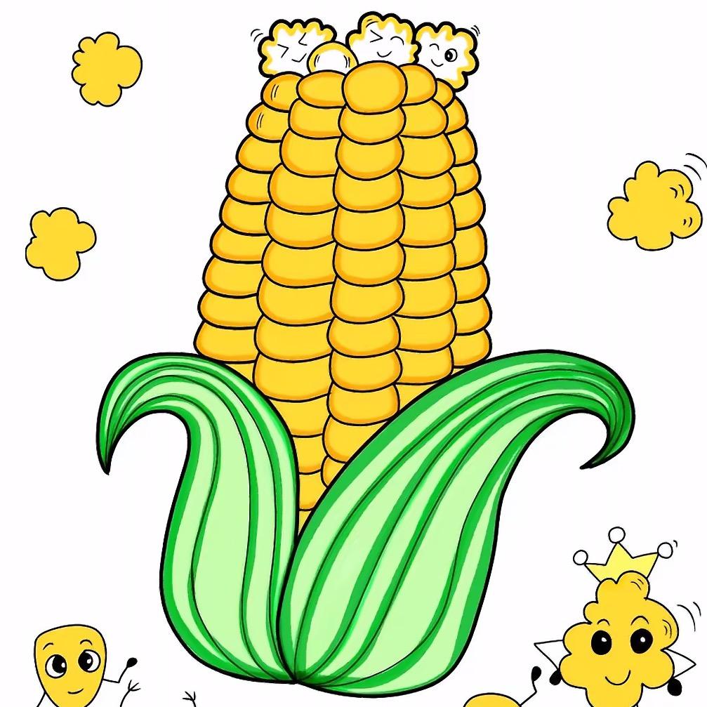 玉米🌽