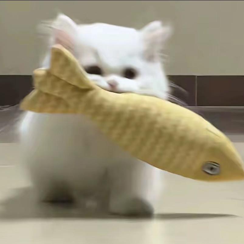 莫醒醒