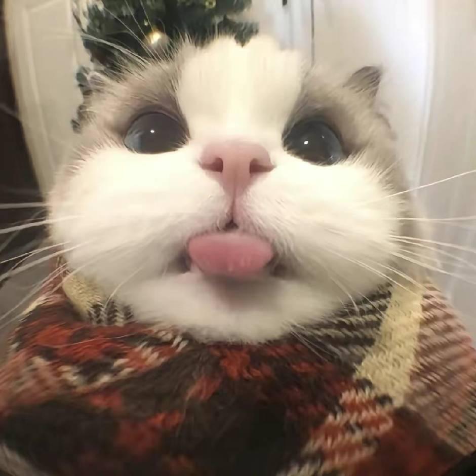 大晗