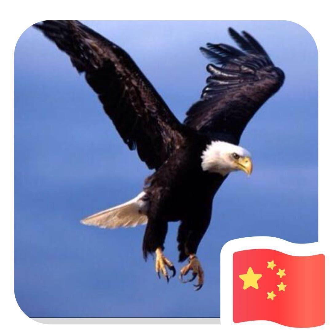 云天精品铜器