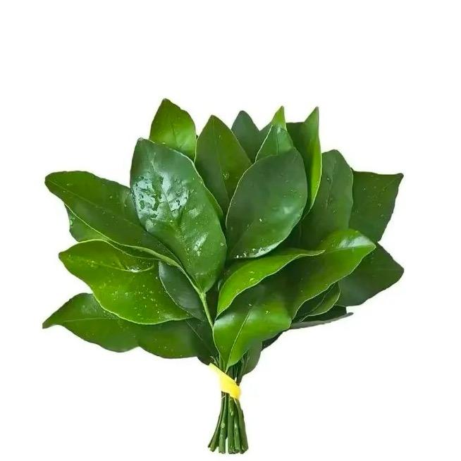 林温柔ya（橱窗有好物）