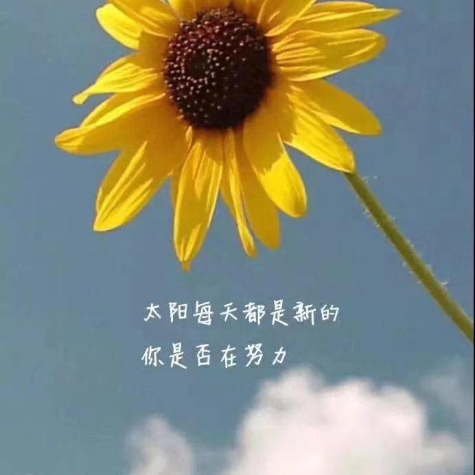 紫兰花头像