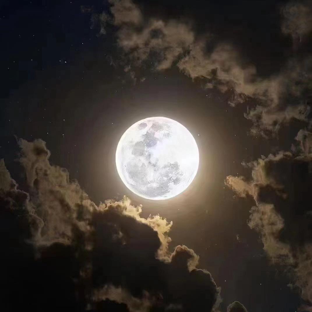 耀辉夜姬
