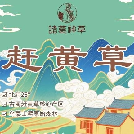 泸州古蔺赶黄草