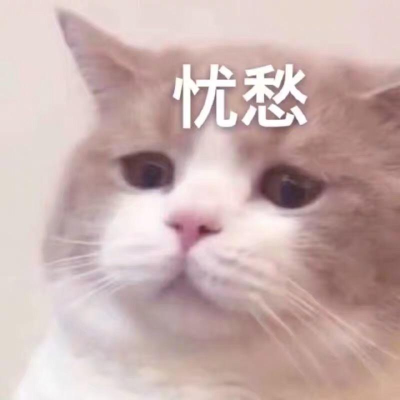 荔枝不是李子