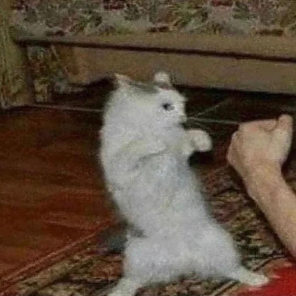 一口西多士