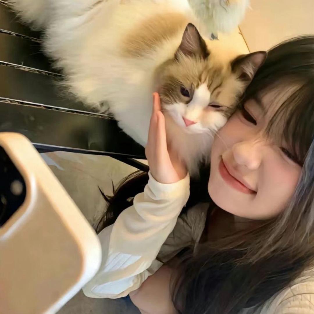 高压锅