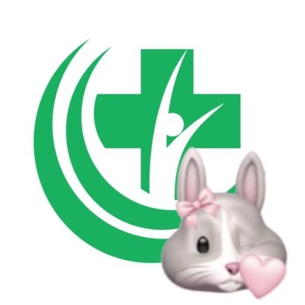 正仁教育兔子领学