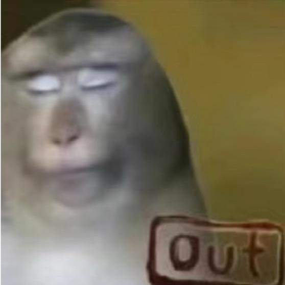 卷毛狒狒