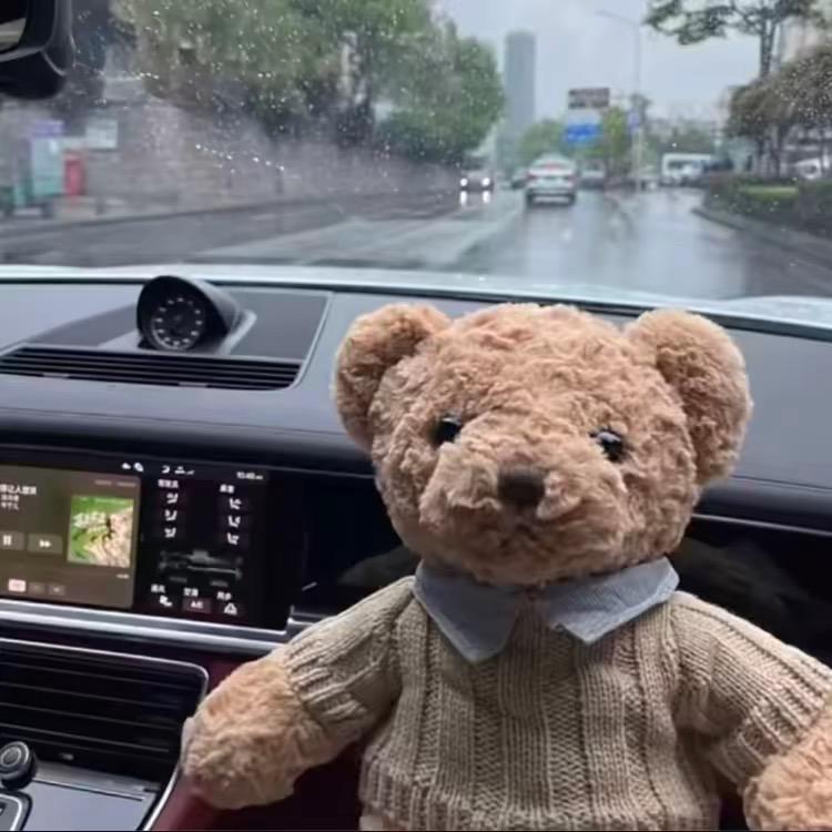 杨子煦