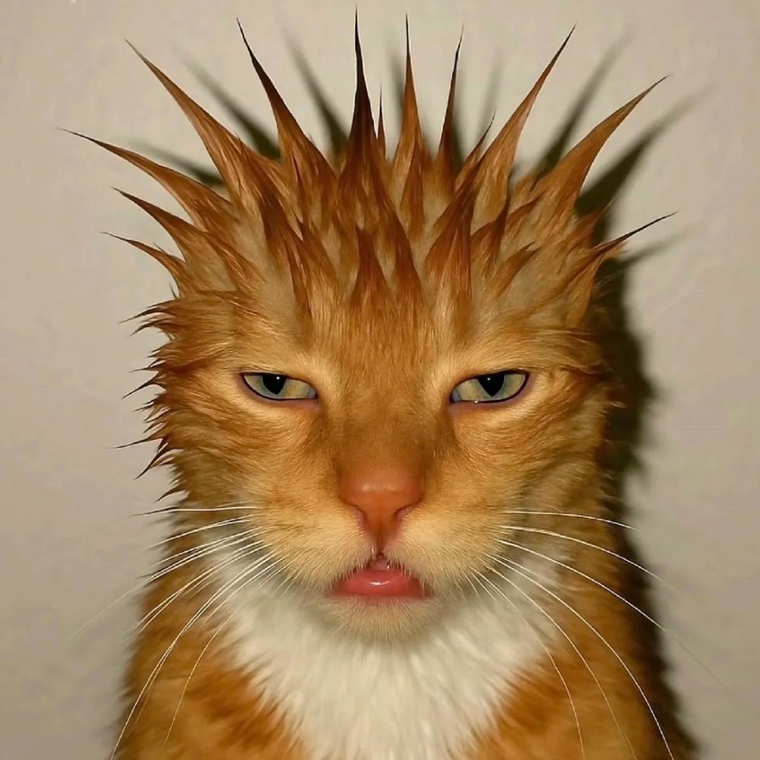 十二.