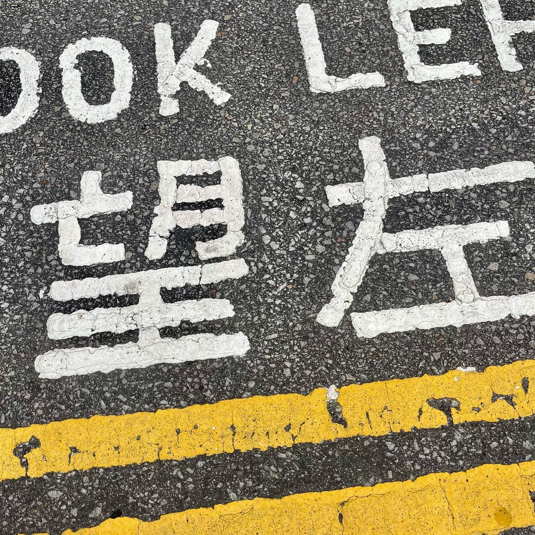 麻辣不烫的猫