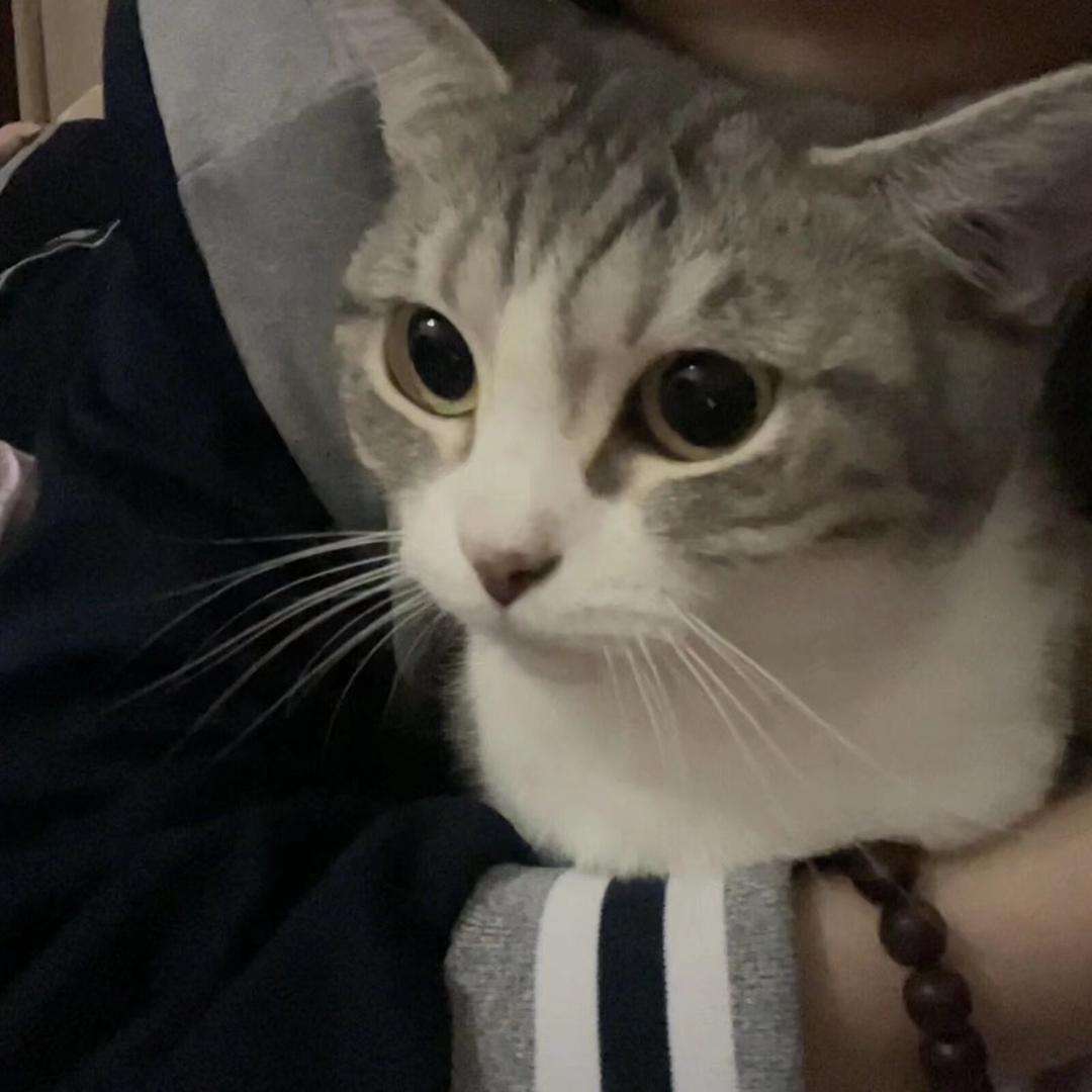 小妍💫