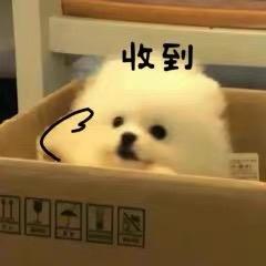 快乐滴豆ㄦ头像