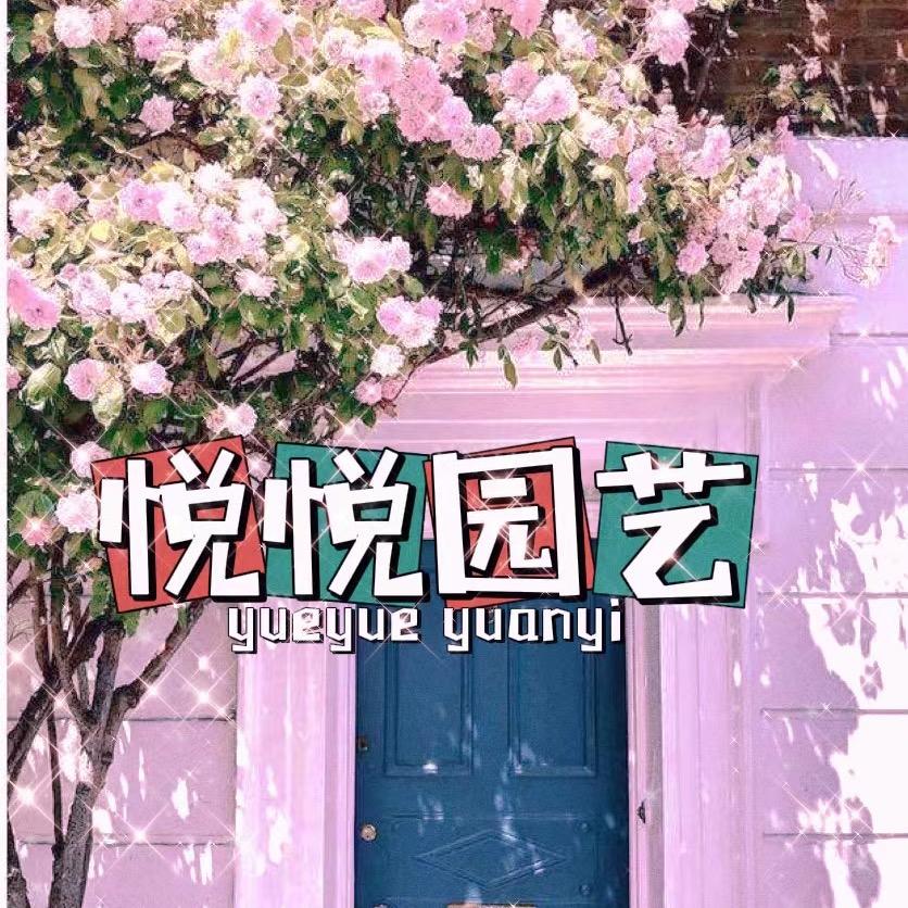 悦悦园艺（三角梅）