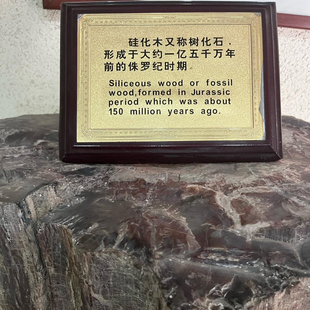 💰糊涂人💰程咬金