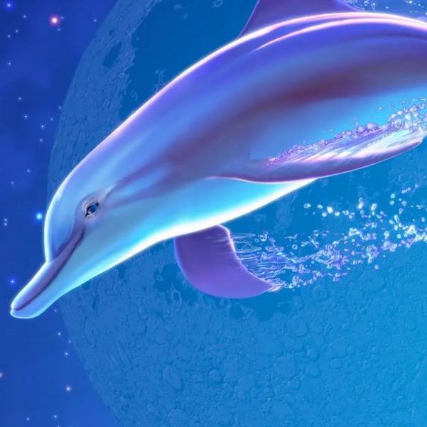 海豚之影