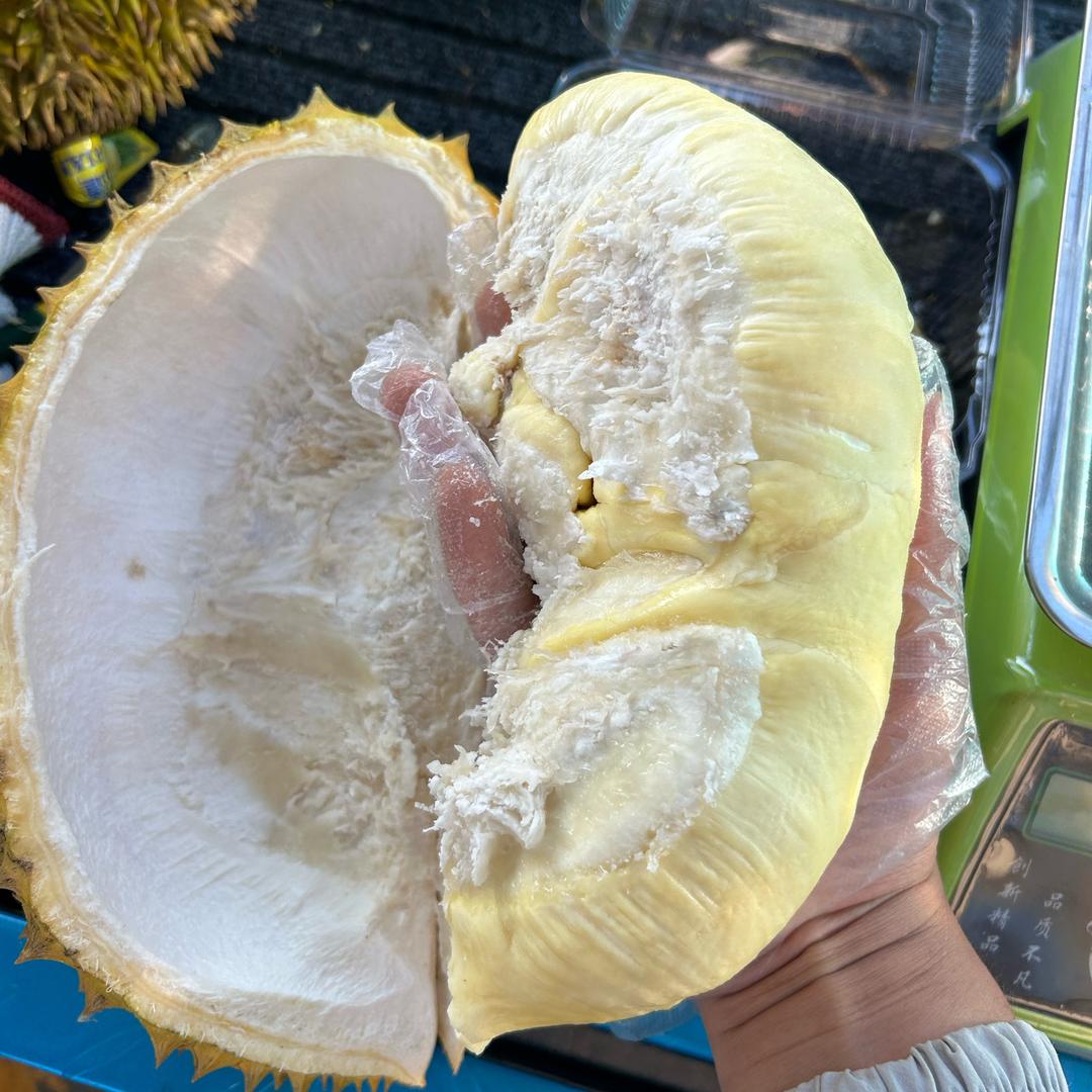 大城榴莲弟   城内管送