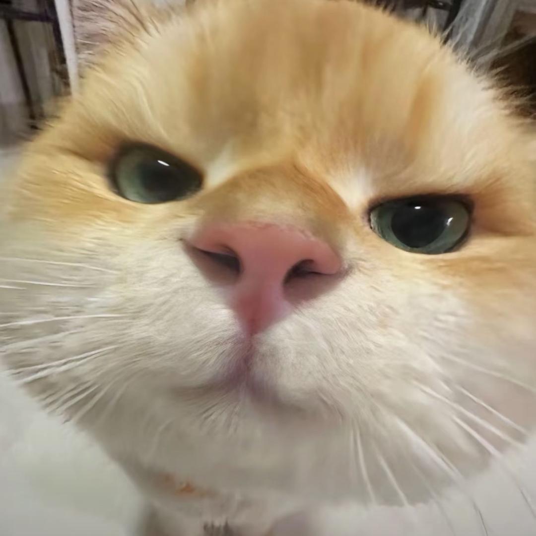 北北