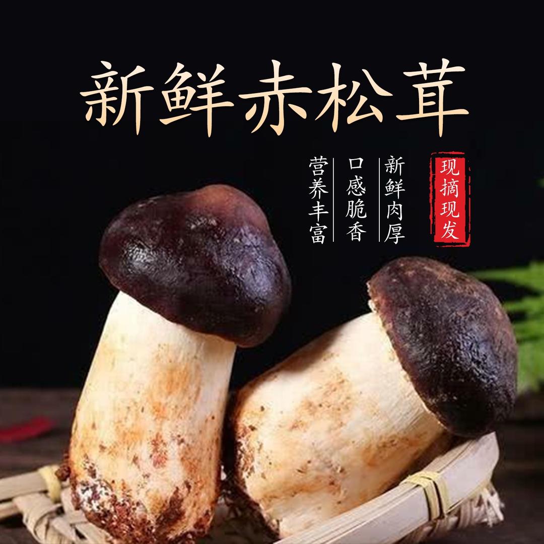 山珍源（成都店）