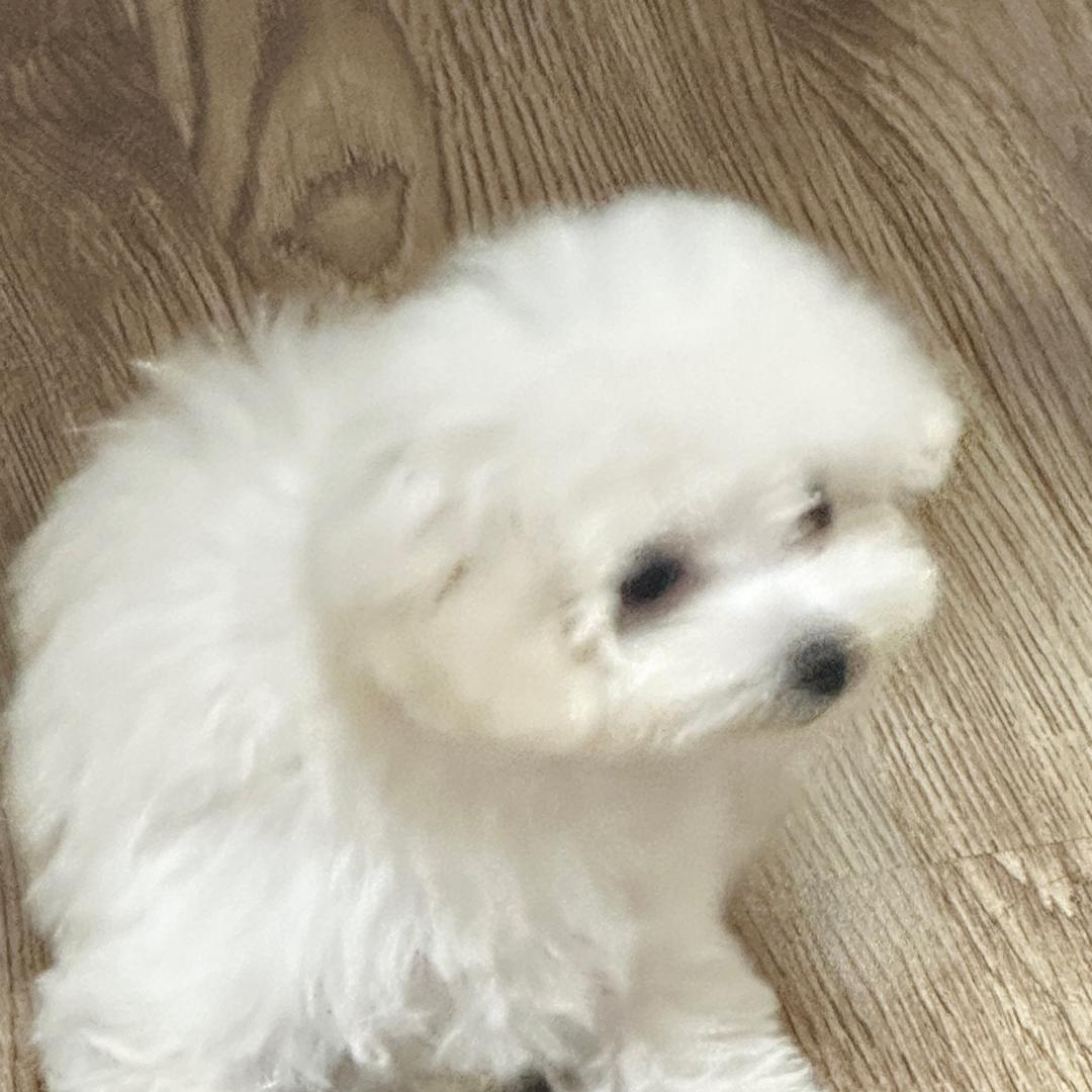 喝吃心放