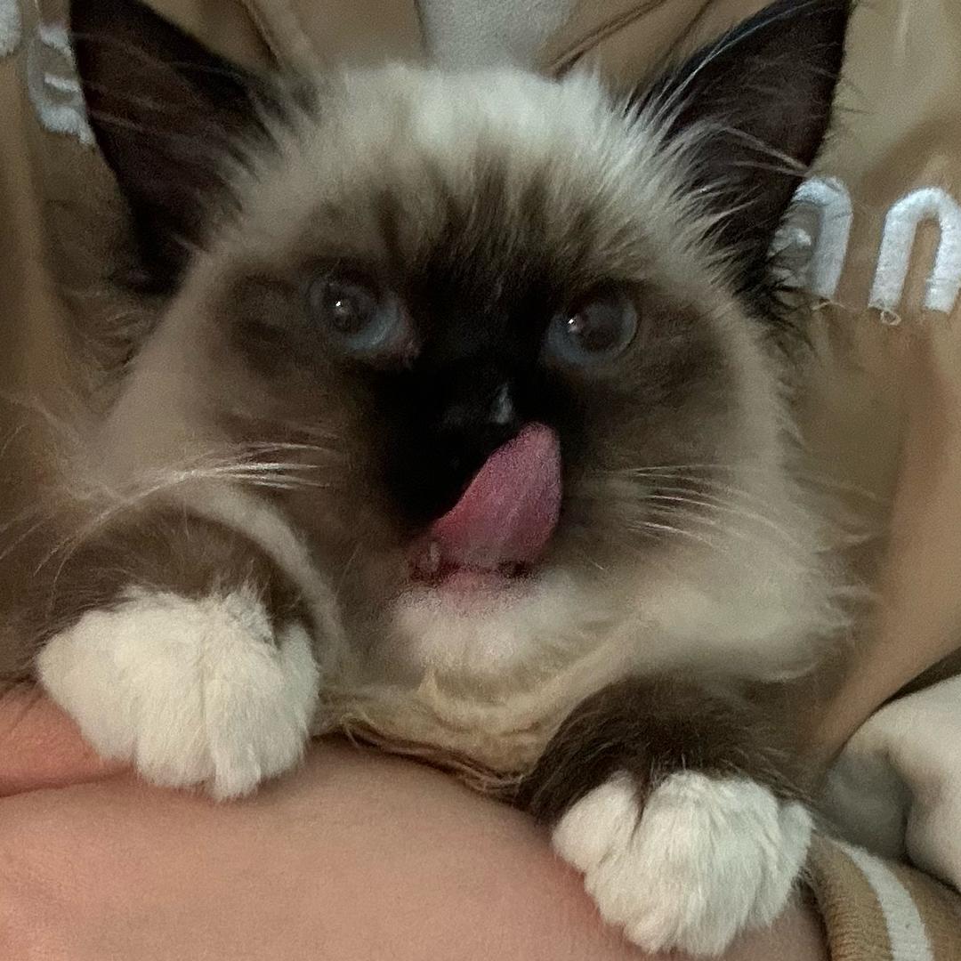 一杯VC.y.