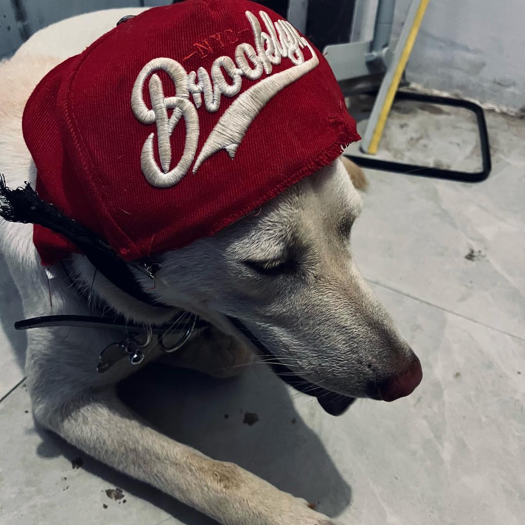 这杯咖啡忘了加糖N