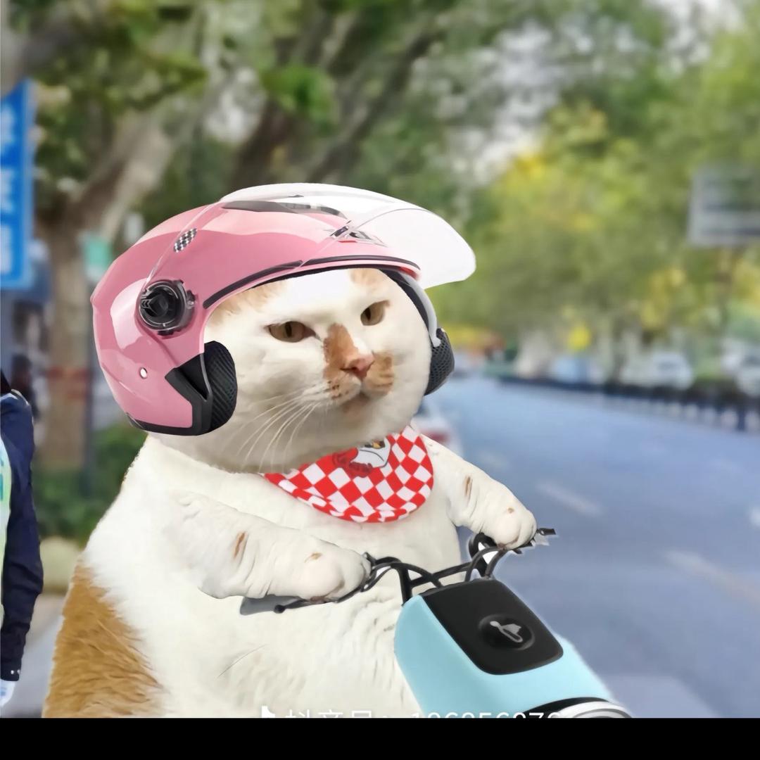 司川男士理发(银泰城店)