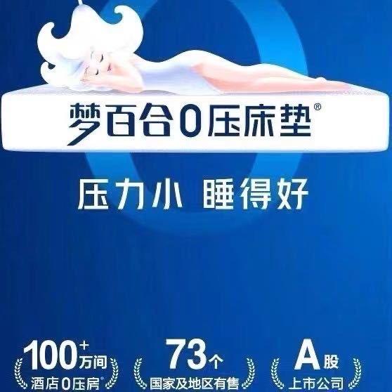 宁海路梦百合工厂店