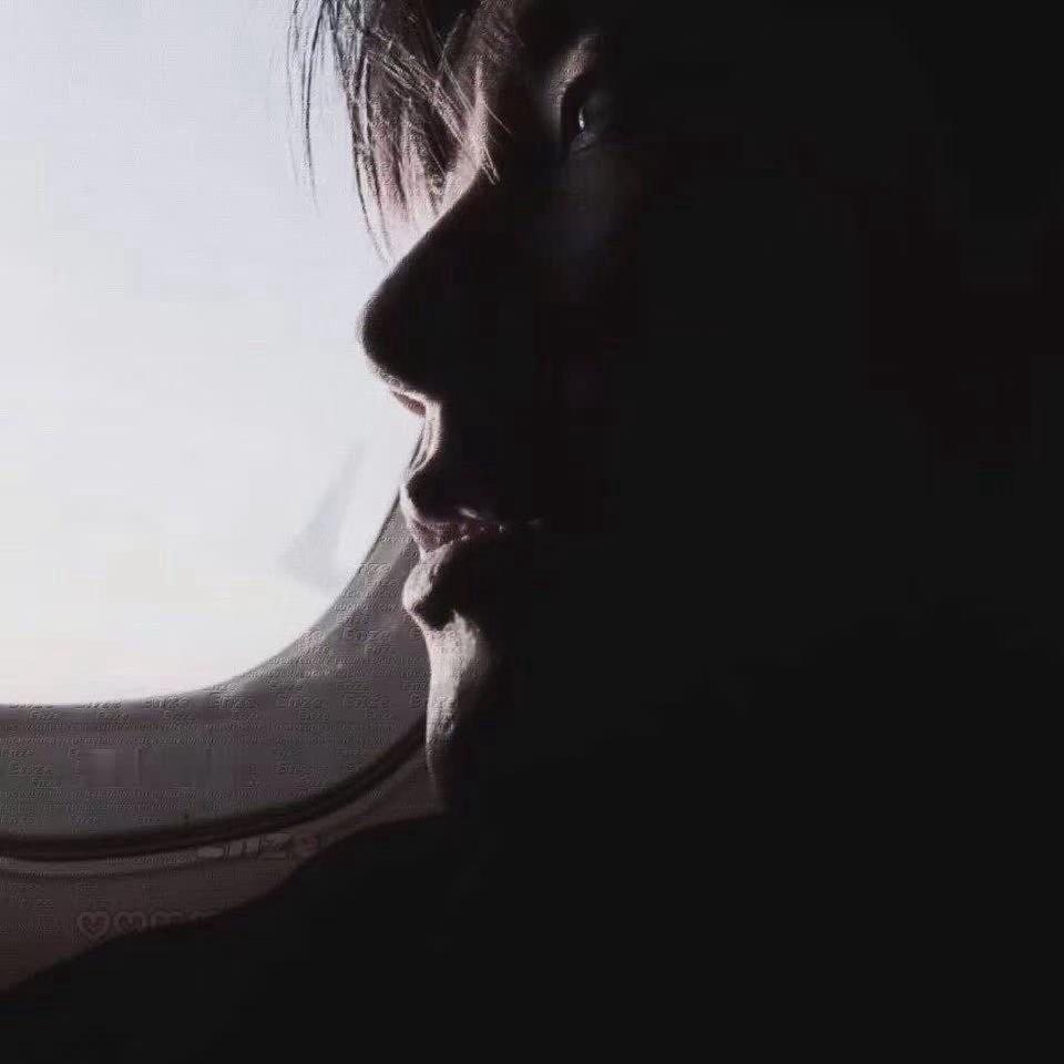 豫淘淘鹦鹉