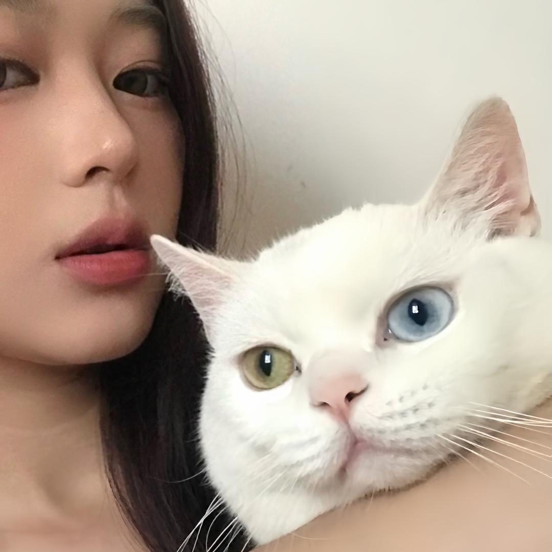抛儿球儿