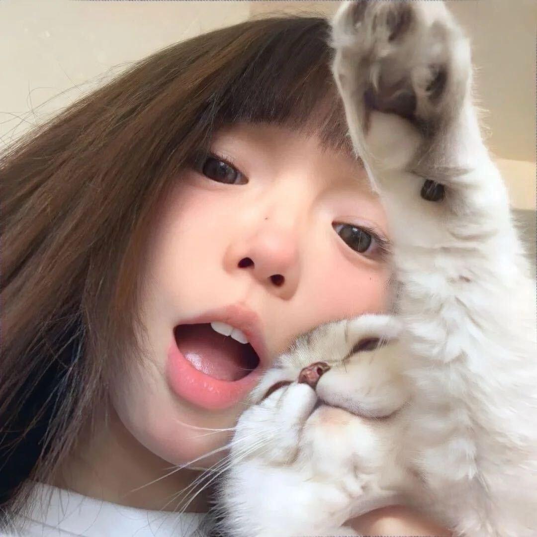 云朵🦔