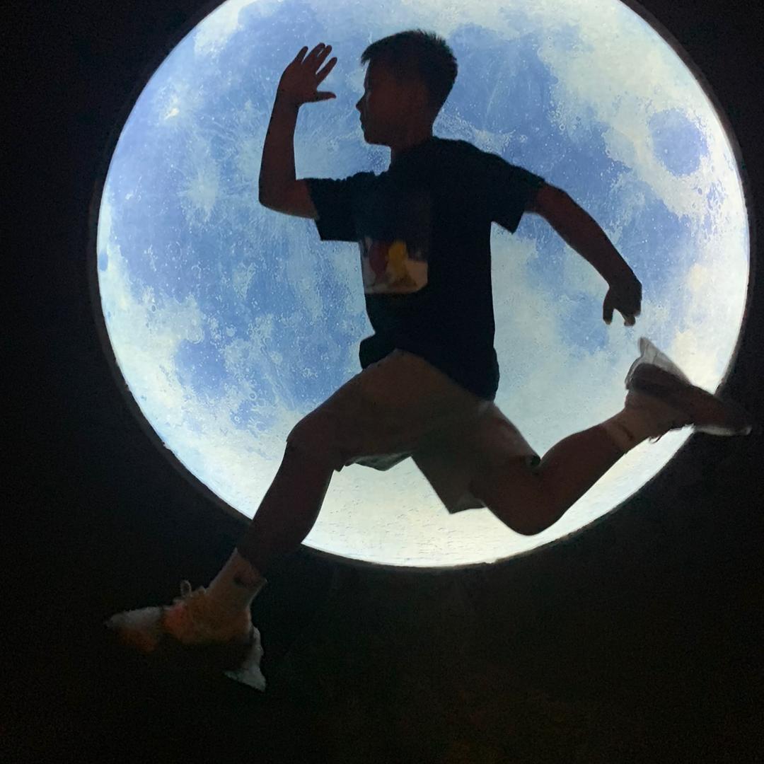 无……（有关必回）