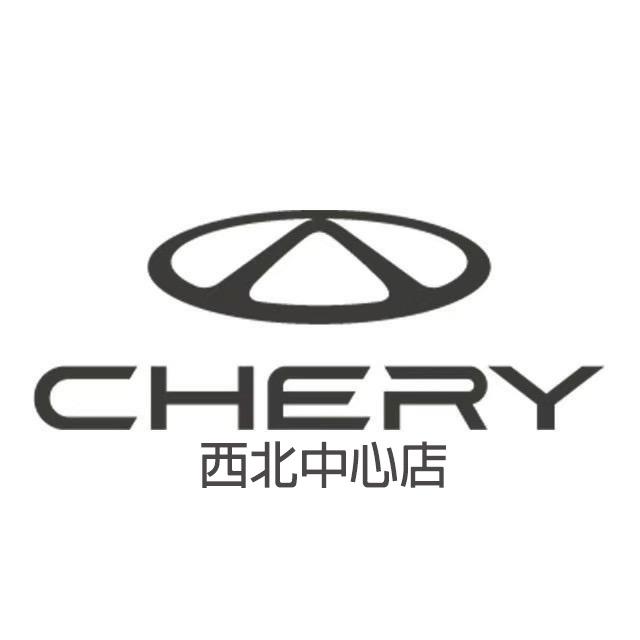 奇瑞西北中心店（凯大弟）