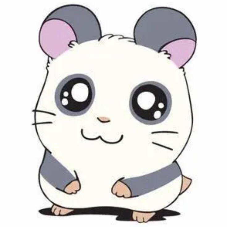 小瓶盖🍼