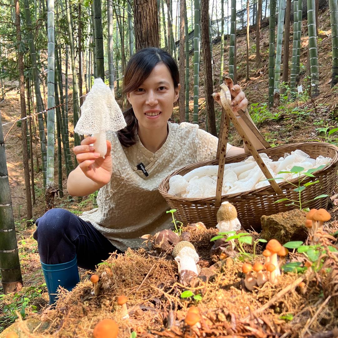 乡村福英(竹荪季)