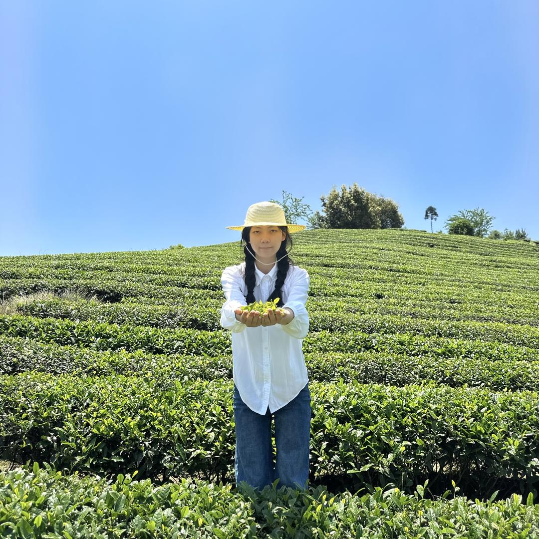 贵州干净茶