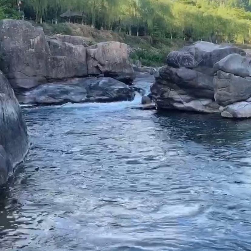 藏青盐