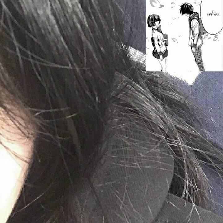 啵啵鱼