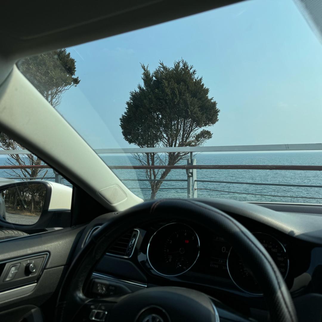 王哪跑