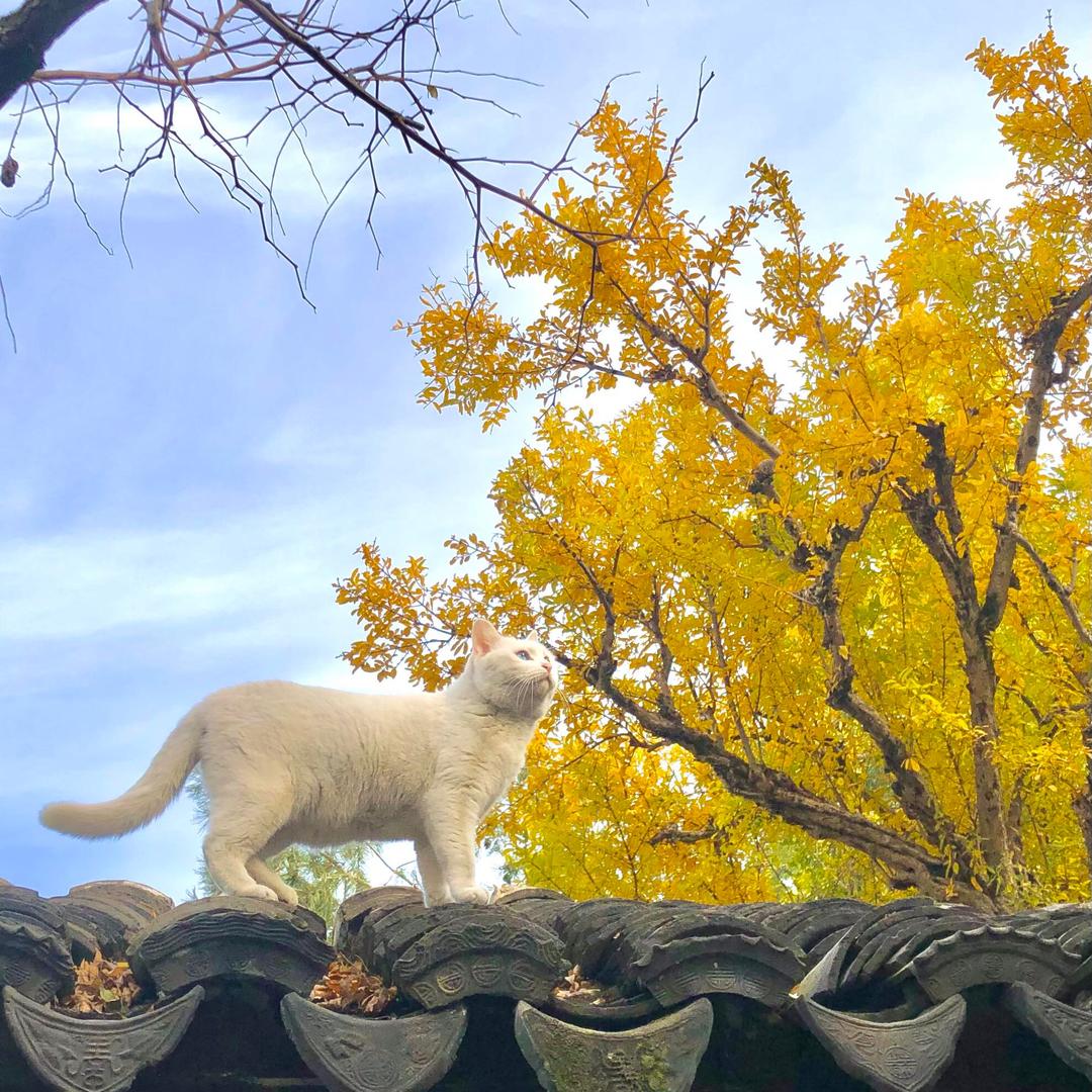 我随便看看