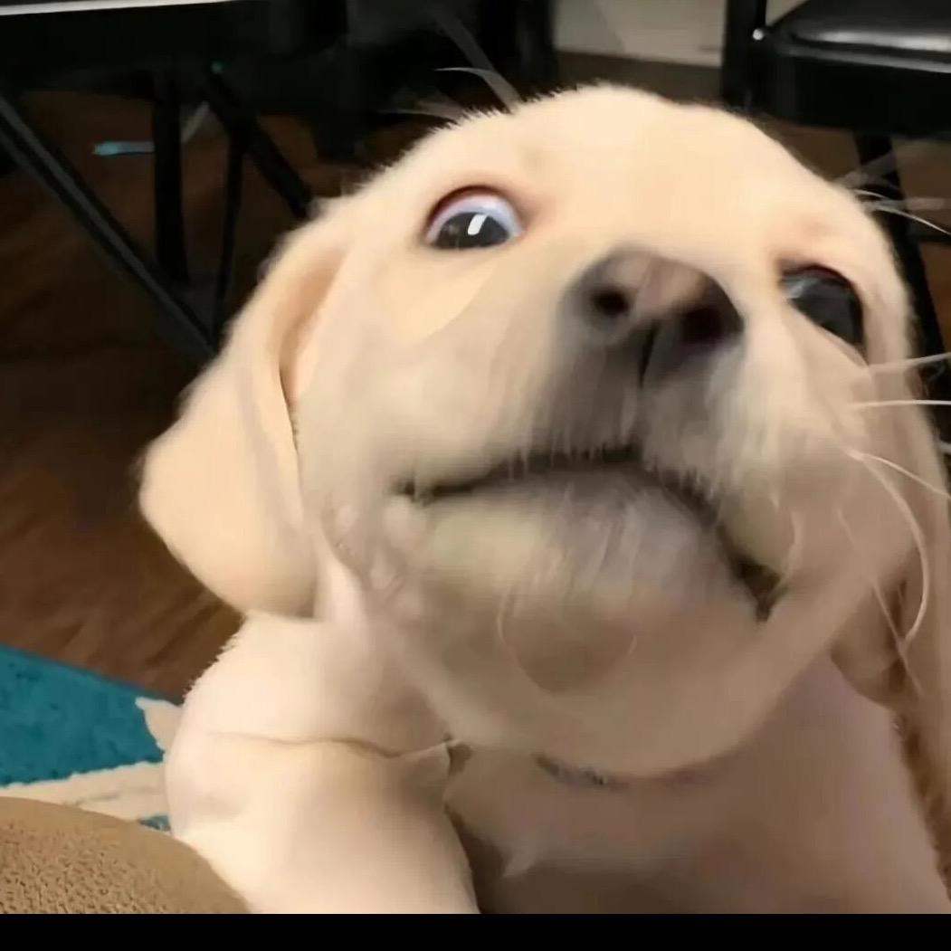 福西西.🤍