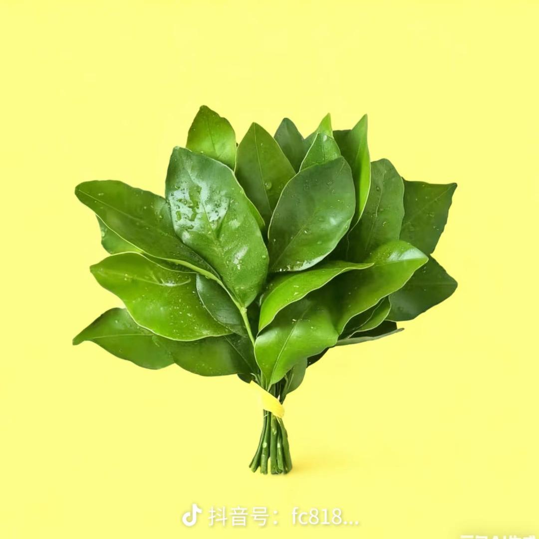 五福临门💎
